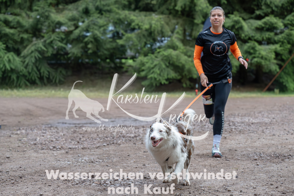 0810_ZZ99464 | kk-dogfotos