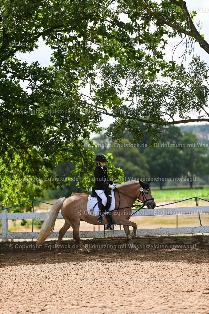 20230716_10-3_Reiter-WB Schritt - Trab - Galopp_0101 | equistock