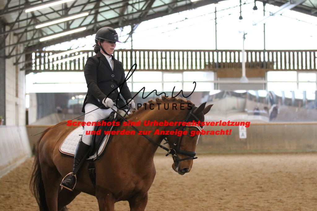 IMG_6943 | lmwpictures - Realisiert mit Pictrs.com