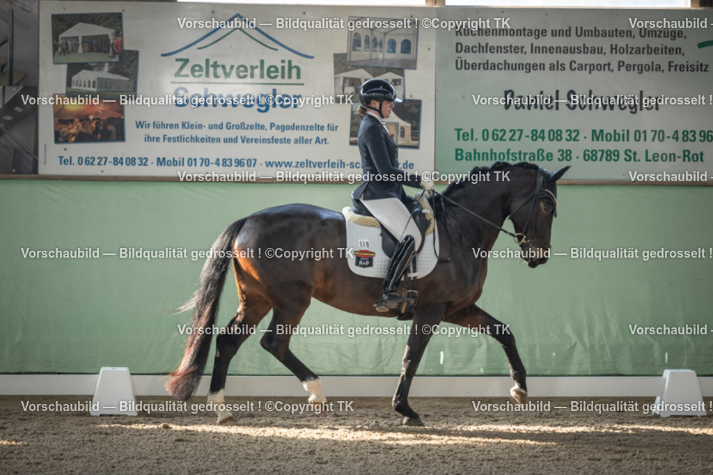 _D5A0455 | Emotionale Pferde- & People-Fotografie rund um Heidelberg, Leimen & Umgebung. Natürliche Fotos von Pferd, Mensch & Familie. Jetzt Termin sichern!