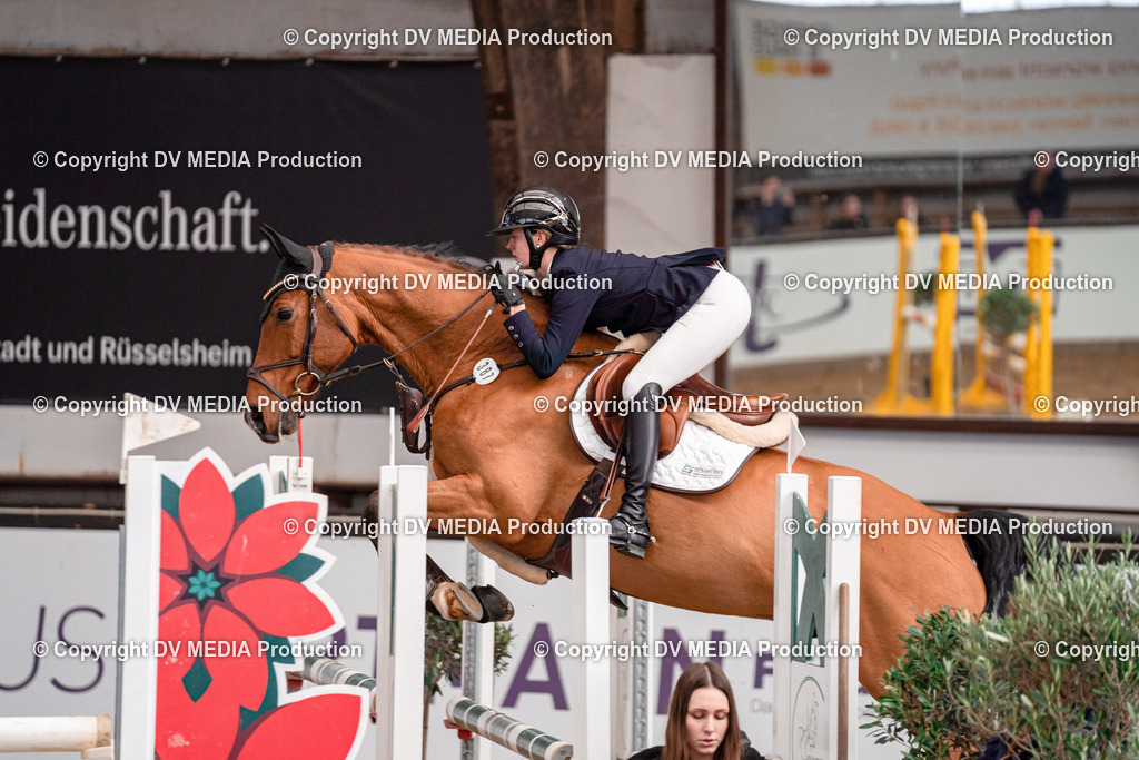 Kranichstein II Tag 3-341 | dv-media-shop - Realisiert mit Pictrs.com