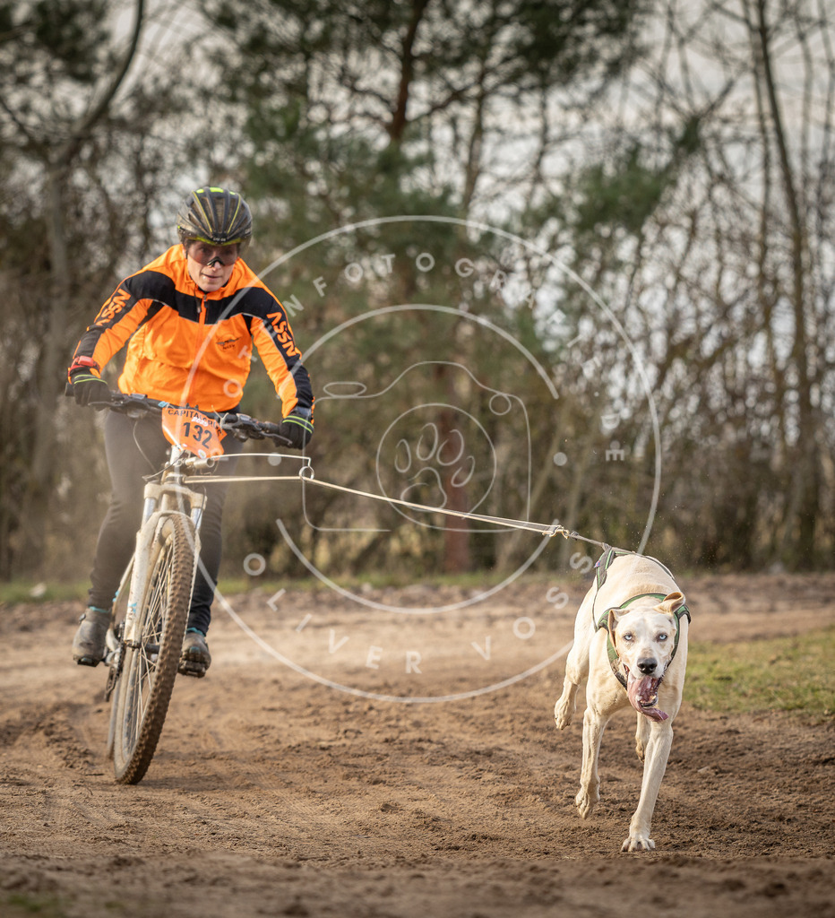 Pfotenfotografie_DV3A8257 | Hundefotografie, Tierfotograf, Pfotenfotografie, Fotoshooting Hund, Hunde Portrait, Hundesport, Hundeportraits, Heideshooting, Hunde, Sportfotograf, Hundefotograf, Turnierhundsport, THS,  - Realisiert mit Pictrs.com