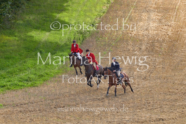 _MCH8148_Marina Hewig | Fotografie, FotoArt, PferdesportArt, Pferdesportfotografie, Landschaftsfotografie, Reisefotografie, Reise, Pferde - Realisiert mit Pictrs.com