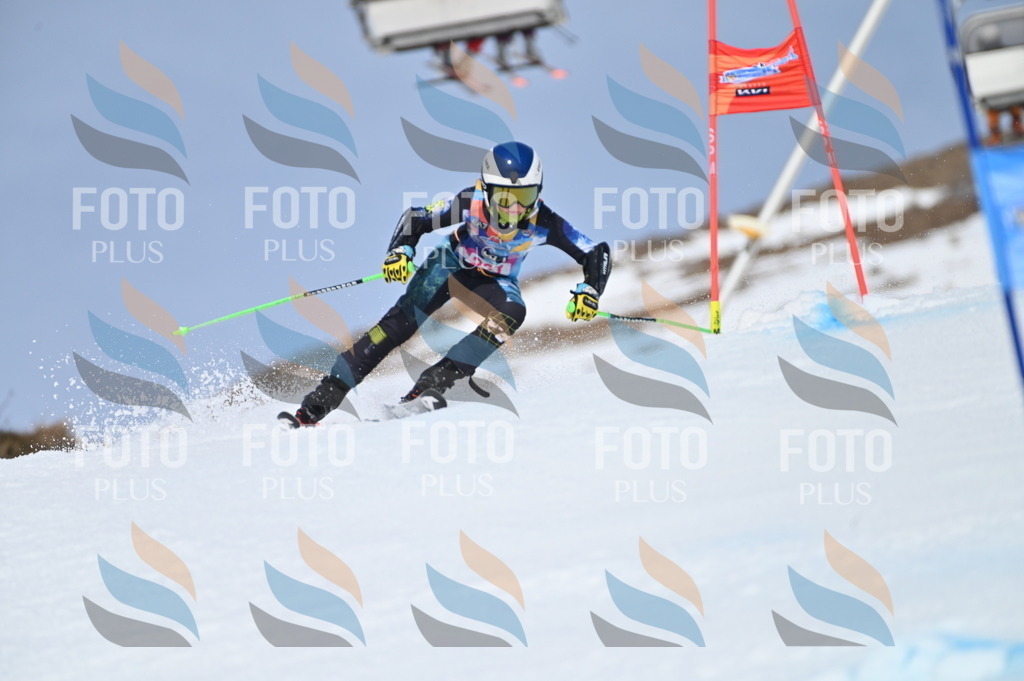 BGV_1509 | holidayphoto