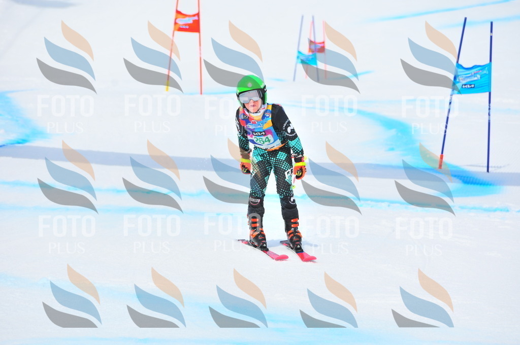 DSC_2468 | holidayphoto