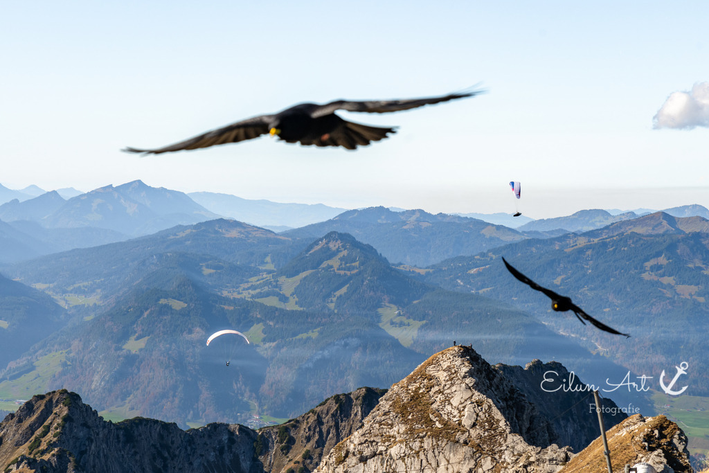 20241029-EAF_5086 | Eilun-Art-Fotografie Levke Martens, ihre Fotografin für Immobilien- und Landschaftsfotografie auf Föhr, Föhrer Motive als Poster, Leinwand, hinter Acrylglas oder stelle dir deinen eigenen Monatskalender zusammen, mit nur einem Klick