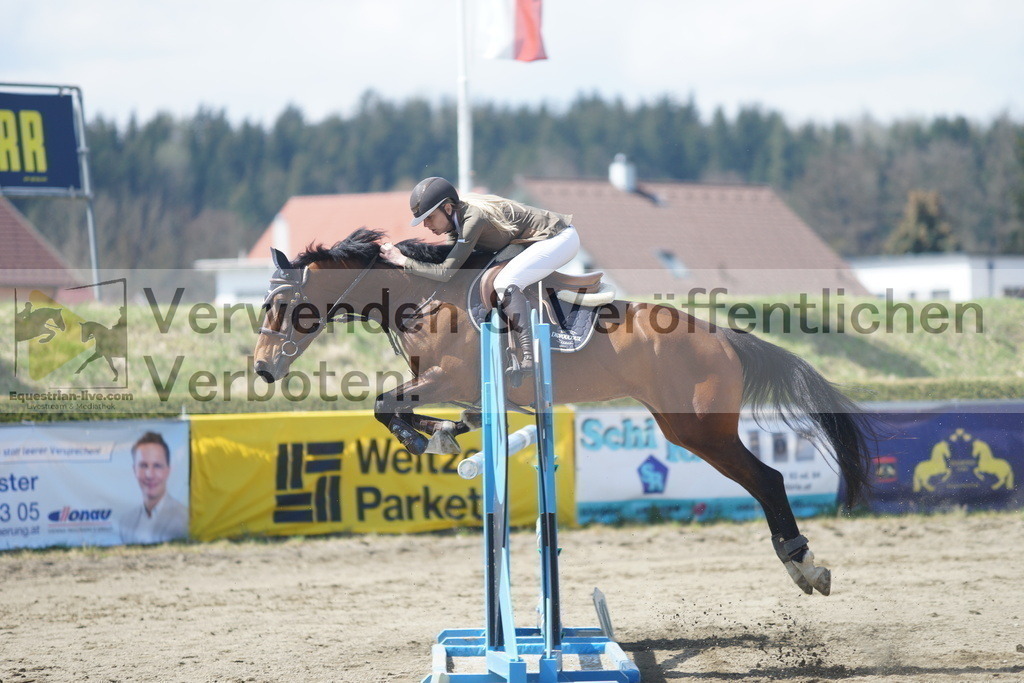 DSC02660 | equestrian-live-com
