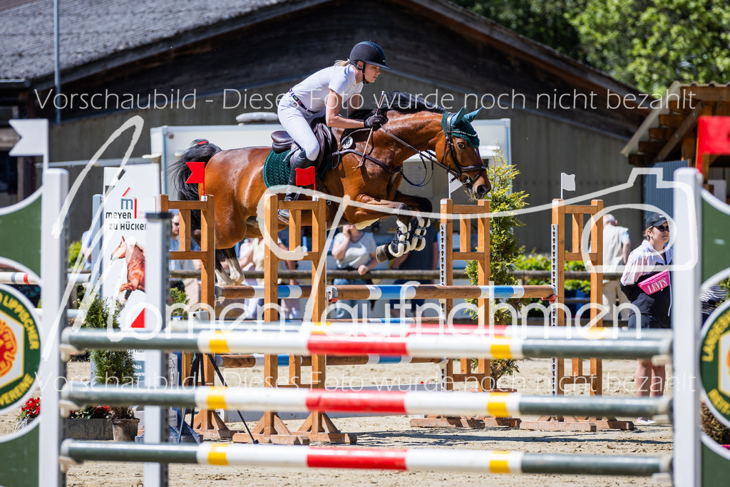 Donop24-L-Spr-013 | MomenTaufnahmen Pferdesportfotos