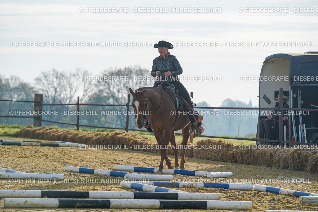 DSC00582 | Pferdegrafie