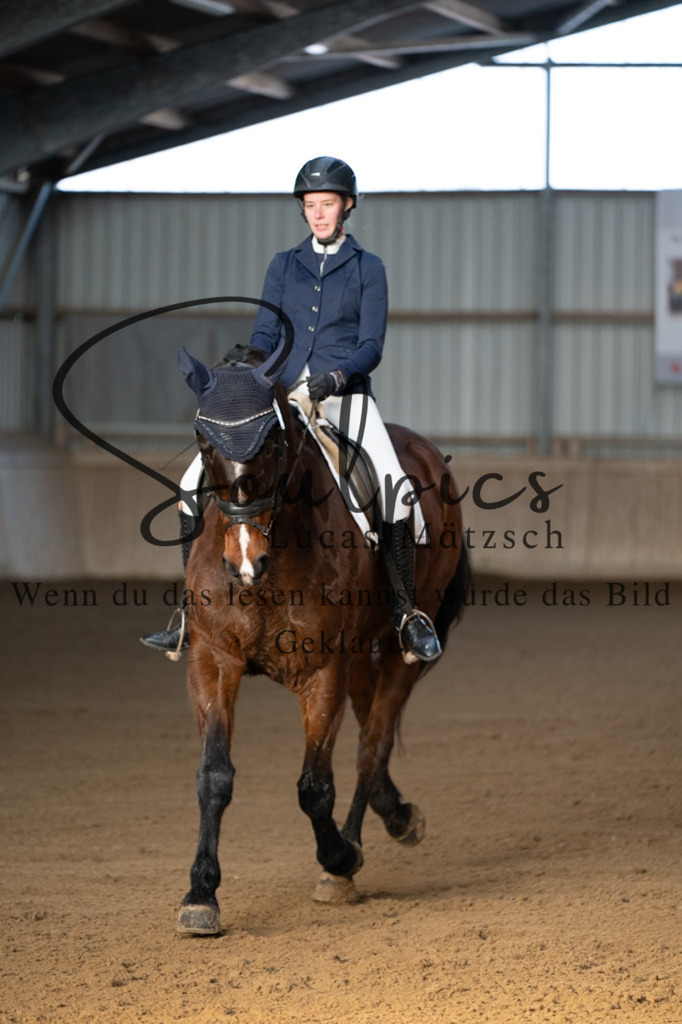 A7V05657 | Pferdefotograf