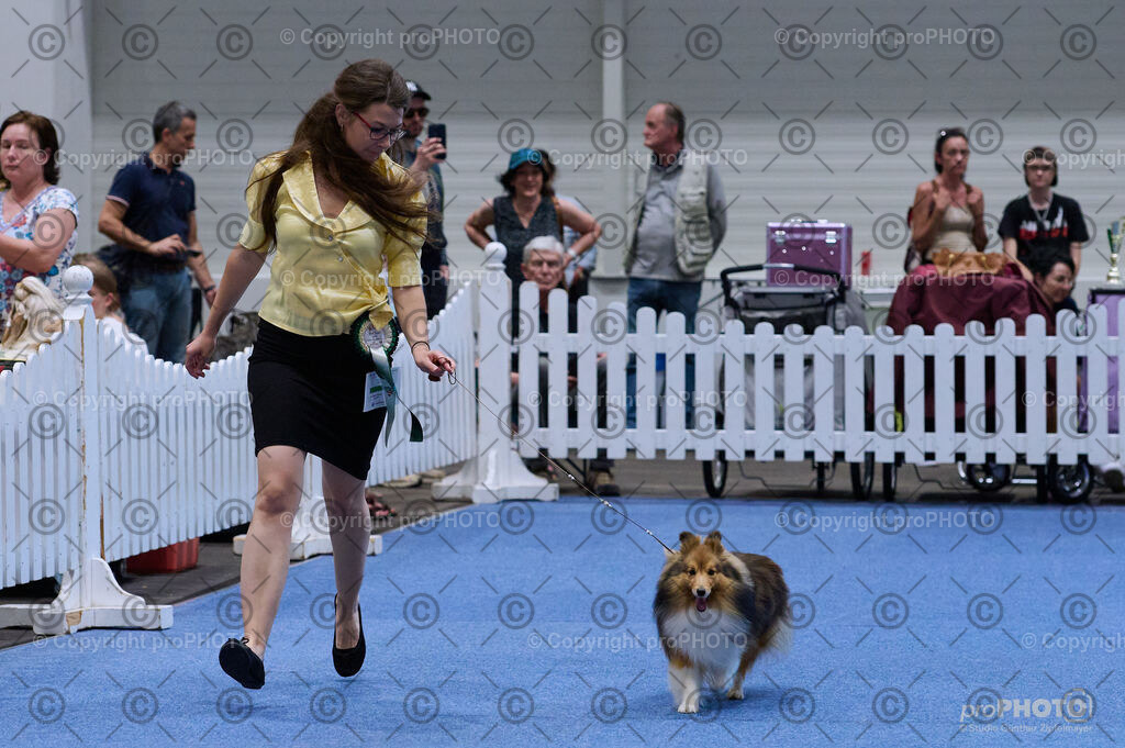 202406_ÖKV-IHA-Tulln24_DSC_3806 | proPHOTO - Realisiert mit Pictrs.com