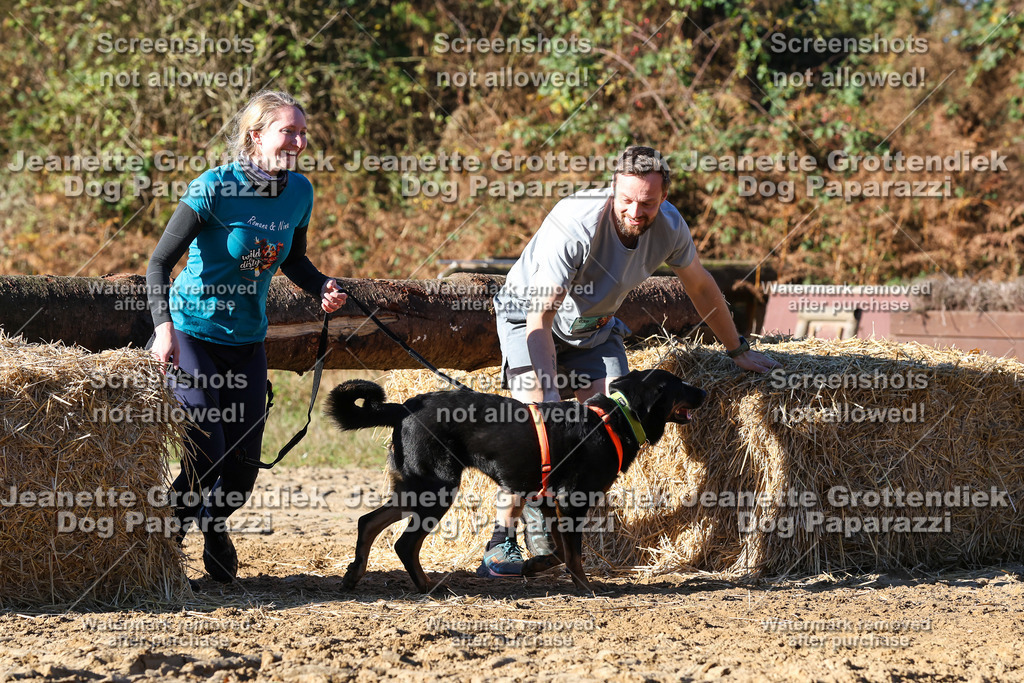Dog Paparazzi - Strongdog 10-25-1780 | Dog Paparazzi Jeanette Grottendiek Fotografie & Videografie - Realisiert mit Pictrs.com
