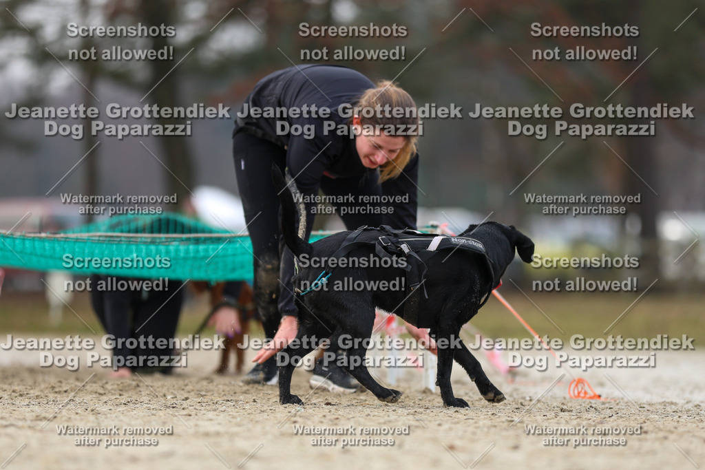 Dog Paparazzi - Strongdog North Mrz26-4550 | Dog Paparazzi Jeanette Grottendiek Fotografie & Videografie - Realisiert mit Pictrs.com