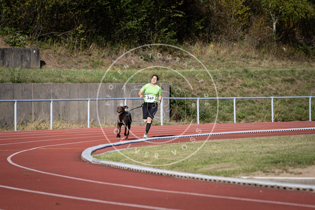 Pfotenfotografie_DV3A8725 | Hundefotografie, Tierfotograf, Pfotenfotografie, Fotoshooting Hund, Hunde Portrait, Hundesport, Hundeportraits, Heideshooting, Hunde, Sportfotograf, Hundefotograf, Turnierhundsport, THS,  - Realisiert mit Pictrs.com