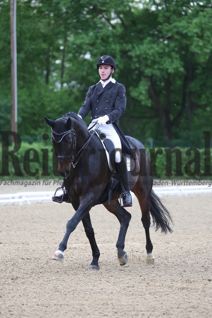 Böblingen_2023_Prfg_Nr.01_Dressur_Kl.S_Kür_Frederik Leon Steisslinger_Quattani (16) | Alle Fotos der Reiterjournal Fotografin Doris Matthaes im Reiterjournal Online-Fotoshop. - Realisiert mit Pictrs.com
