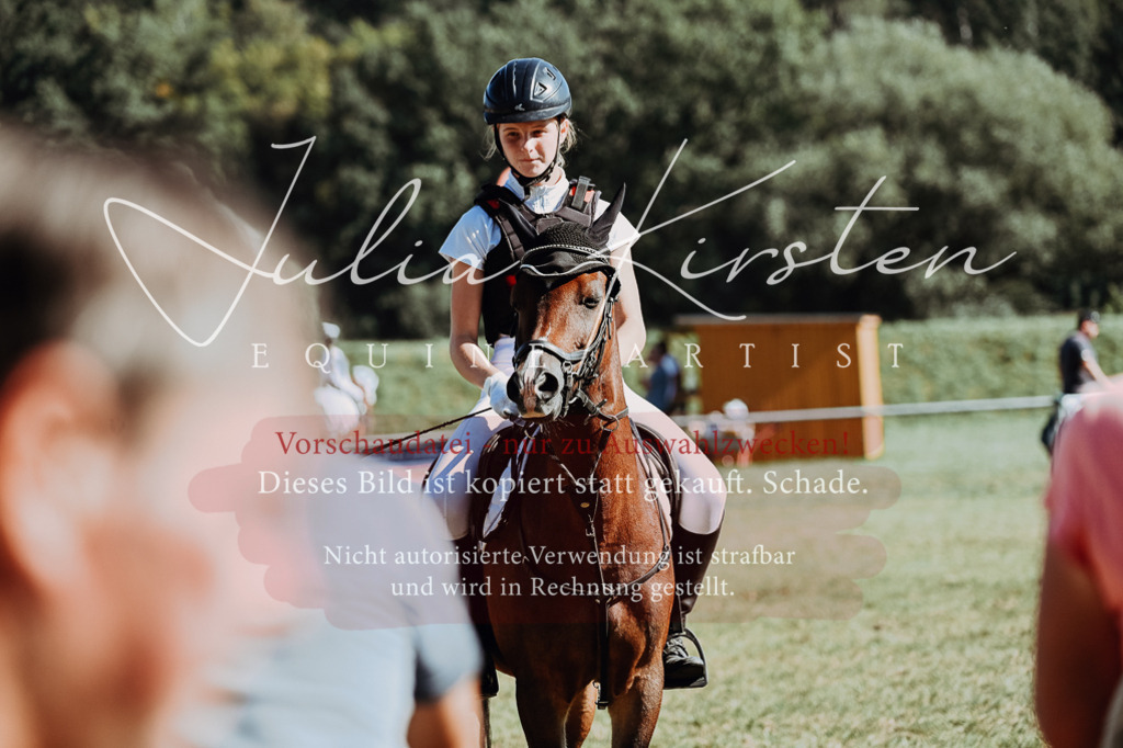 DSC_6978 | Pferde- und Turnierfotografie in Westsachsen. Pferdeportraits, Auftragszeichnungen und intuitive Kunst.