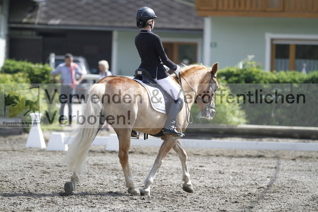 _MG_9516 | equestrian-live-com