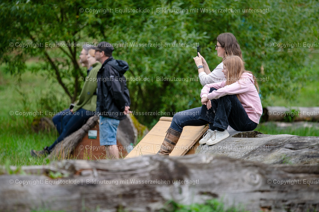 20250725_Vielseitigkeitslehrgang-Marbach_0352 | Foto: Thomas Hartig