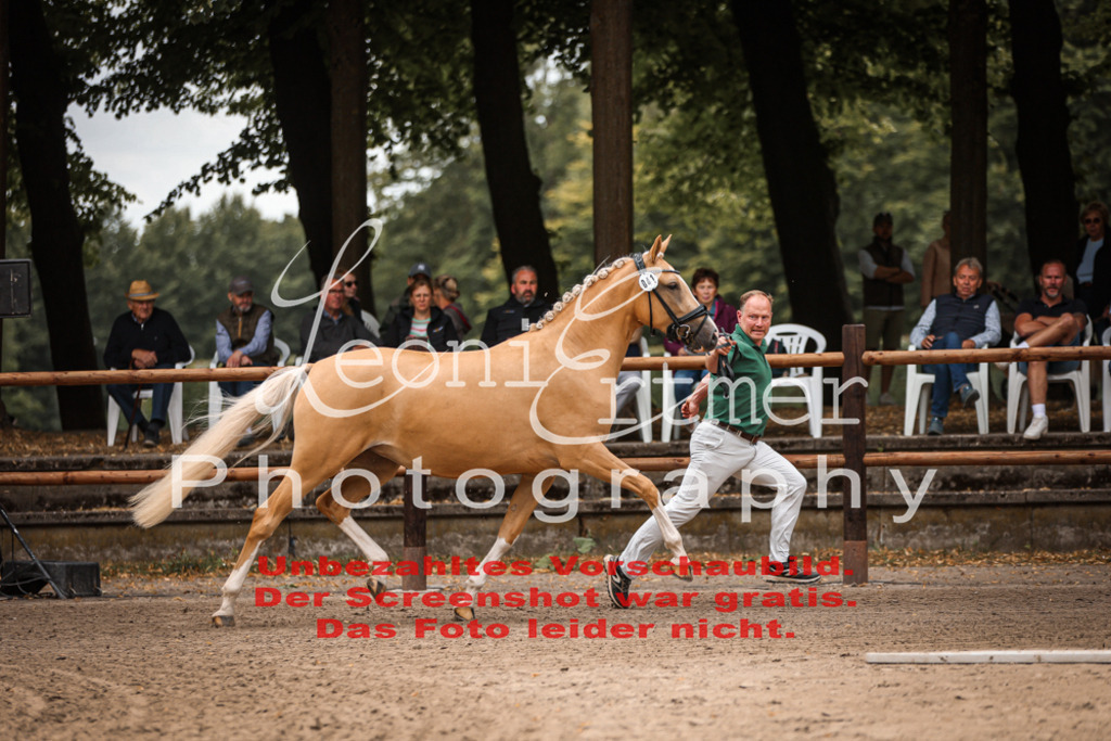 8.So00020 | Leoni Ertmer Photography - Realisiert mit Pictrs.com