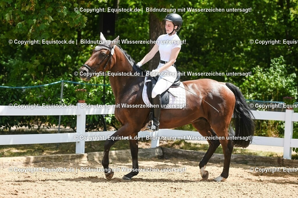 20230715_09_Dressur-WB_0260 | equistock