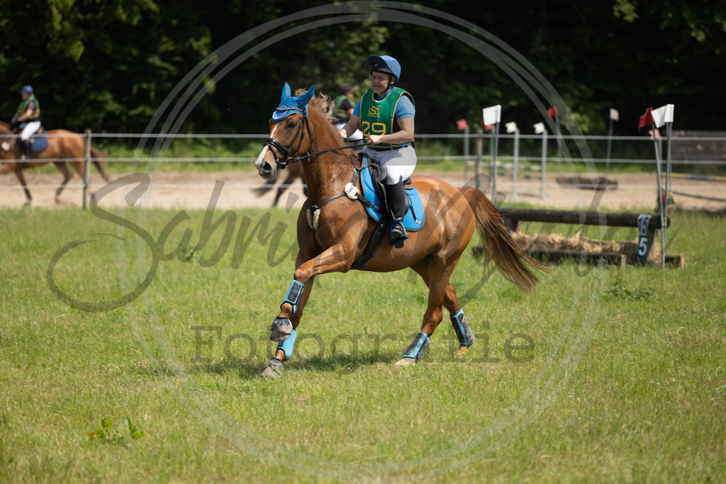 994A0965 | sabrinanicolaifotografie - Realisiert mit Pictrs.com