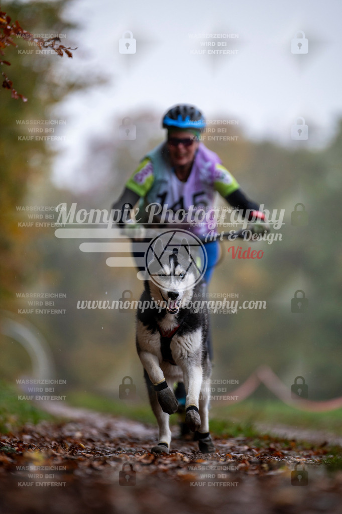 DBT_DAKM_SA_4_11_2023_DS1-70 | mompixphotography