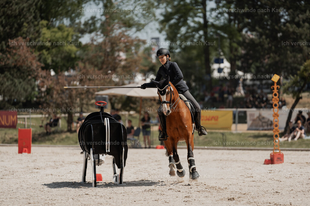 WE_SP_Stoib_337_PI2025_2104 | Pferd International München 2025