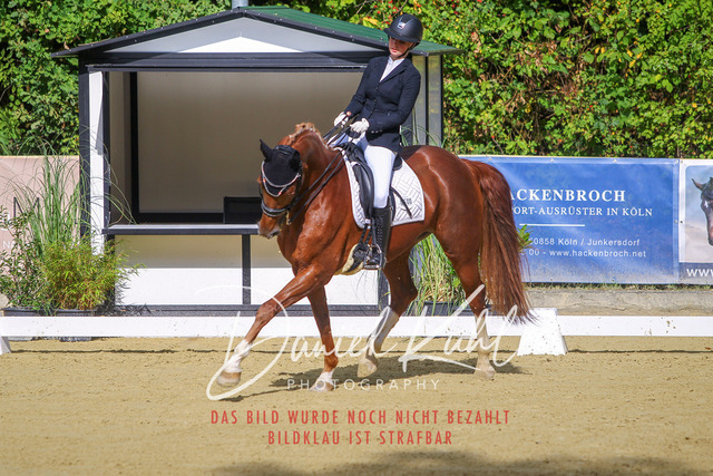 DKP40853 | Turniersportfotografie; Pferdefotografie; Dressurfotografie