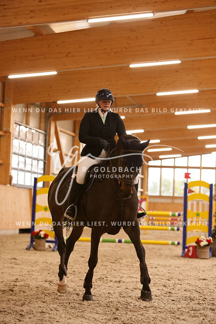 1J2A3317Alexa Burmeister_ Catania 131_ Kn091_ Hohen Wieschendorf_ Glantz | Foto- und Videografie für alles rund ums Pferd. Hochwertige Bilder und Videos vom Spring- und Dressurreiten, Voltigieren & mehr. Jetzt aktuelle Veranstaltungen und Preise im Shop ansehen. - Realisiert mit Pictrs.com