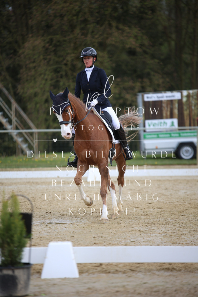 IMGT6880 | pl-fotografie