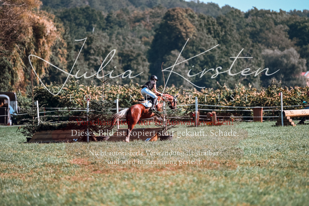 DSC_0933 | Pferde- und Turnierfotografie in Westsachsen. Pferdeportraits, Auftragszeichnungen und intuitive Kunst.