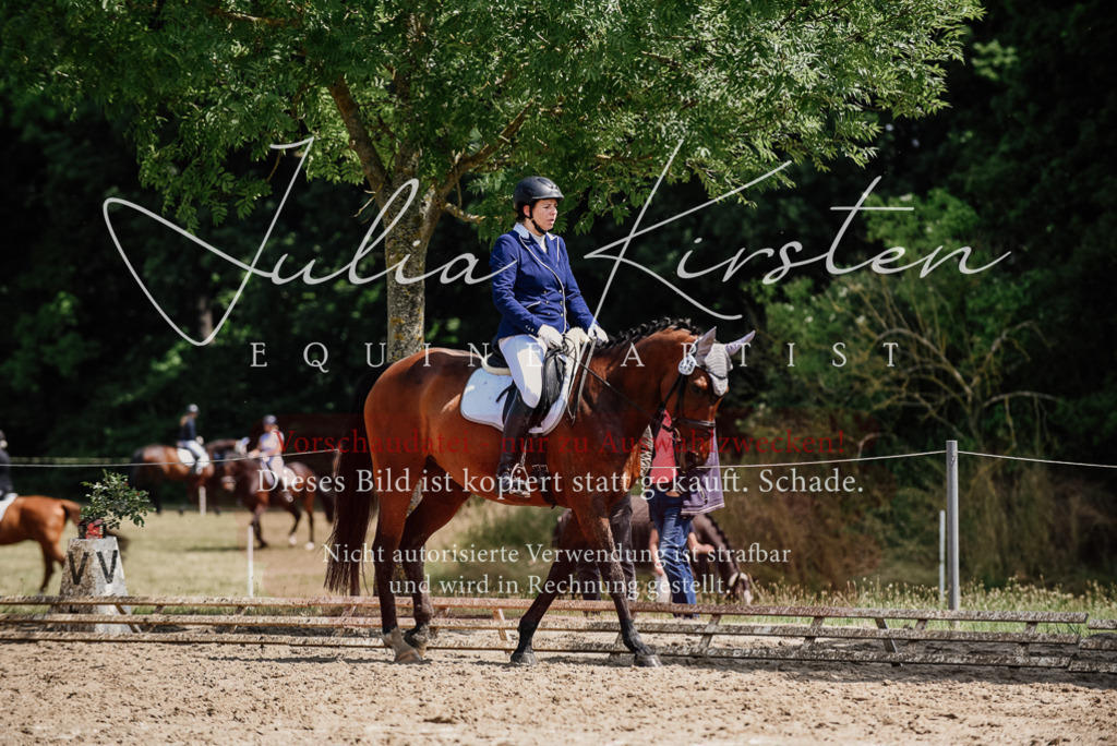 DSC_1206 | Pferde- und Turnierfotografie in Westsachsen. Pferdeportraits, Auftragszeichnungen und intuitive Kunst.