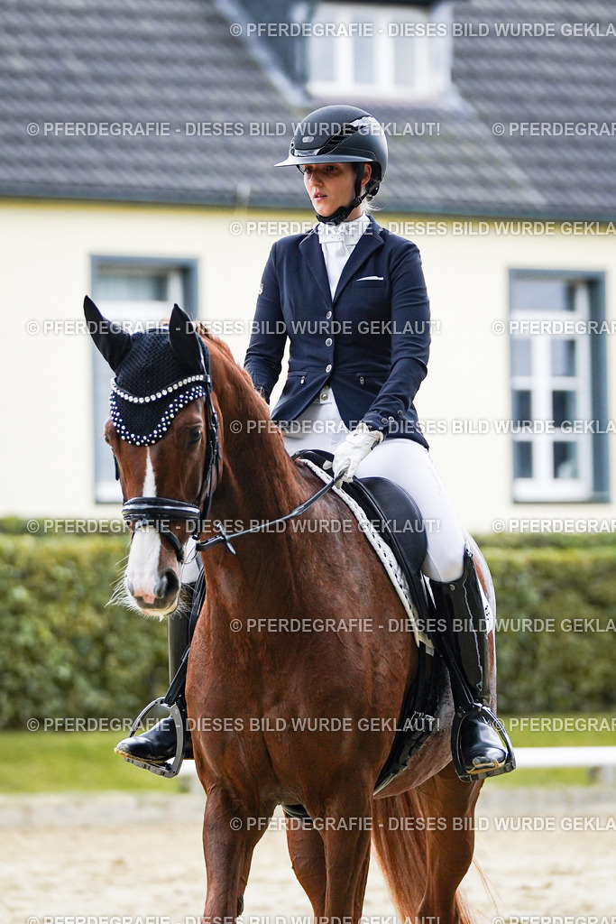 DSC06875 | Pferdegrafie