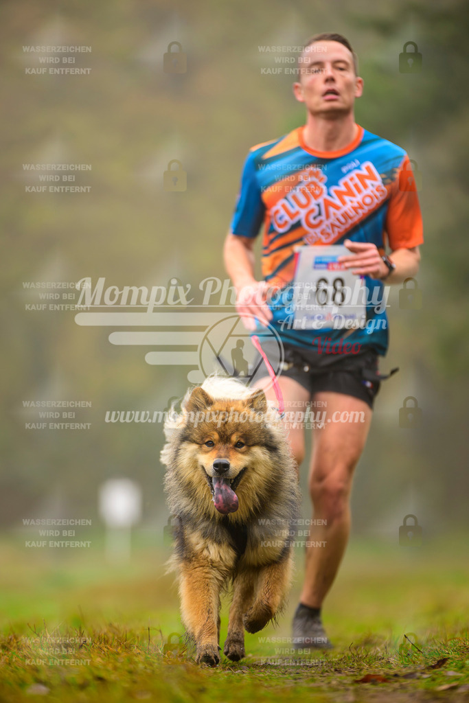 MompixPhotography_Bischwiller2025_Canicross-98 | mompixphotography