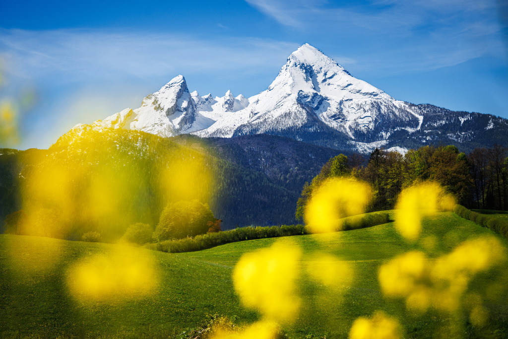 Watzmann 6 | ap-design // andreas plenk - Realisiert mit Pictrs.com