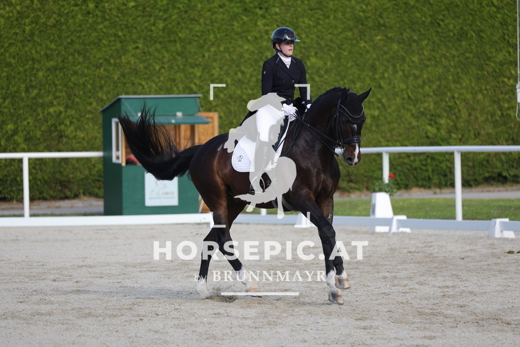 0P6A3778 | Willkommen bei Brunnmayr - Design & Fotografie – Ihrem Spezialisten für Reitturniere und Pferdeveranstaltungen in Oberösterreich, Salzburg und Bayern! Seit über 17 Jahren sind wir leidenschaftlich dabei.