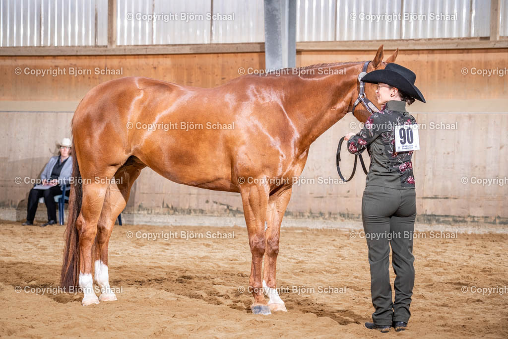 SBS09711 | BS-foto