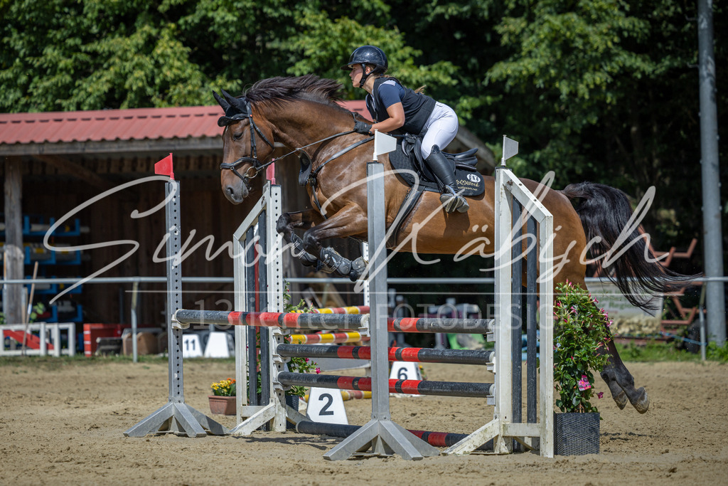 20260704-_3LI0426 | Tierfotografie Pferde, Hunde, Katzen, Haustiere.
Turnierfotografie Reitturniere, Reiten, Springreiten, Dressur in Hanau, dem Main-Kinzig-Kreis und dem Rhein-Main- Gebiet um Frankfurt