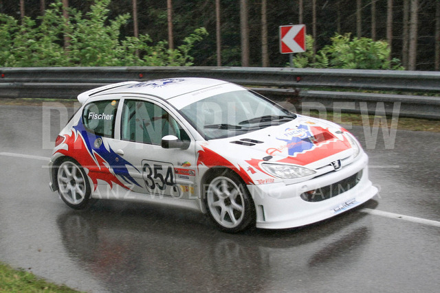 International Hill Climb Esthofen – St. Agatha 2008    | Race car action at the International Hill Climb Esthofen – St. Agatha, held on September 20–21, 2008, in Upper Austria. The image shows FISCHER Martin (Peugeot 206).     