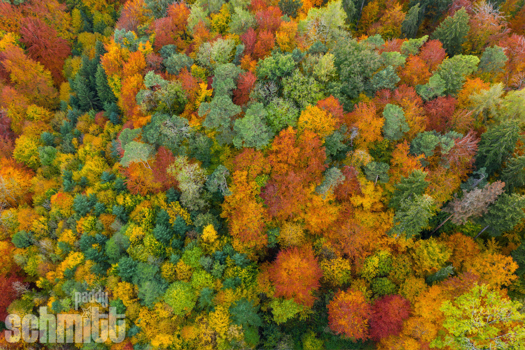 PS-Aerials-2026-62 | Entdecke die größte Bildgalerie der Region mit Fotografien aus dem Allgäu, der Bodenseeregion, Oberschwaben, dem Donautal und der Schwäbischen Alb. Landschaften, Luftaufnahmen und Reisefotografie als Wandbild und Fotokunst. - Realisiert mit Pictrs.com