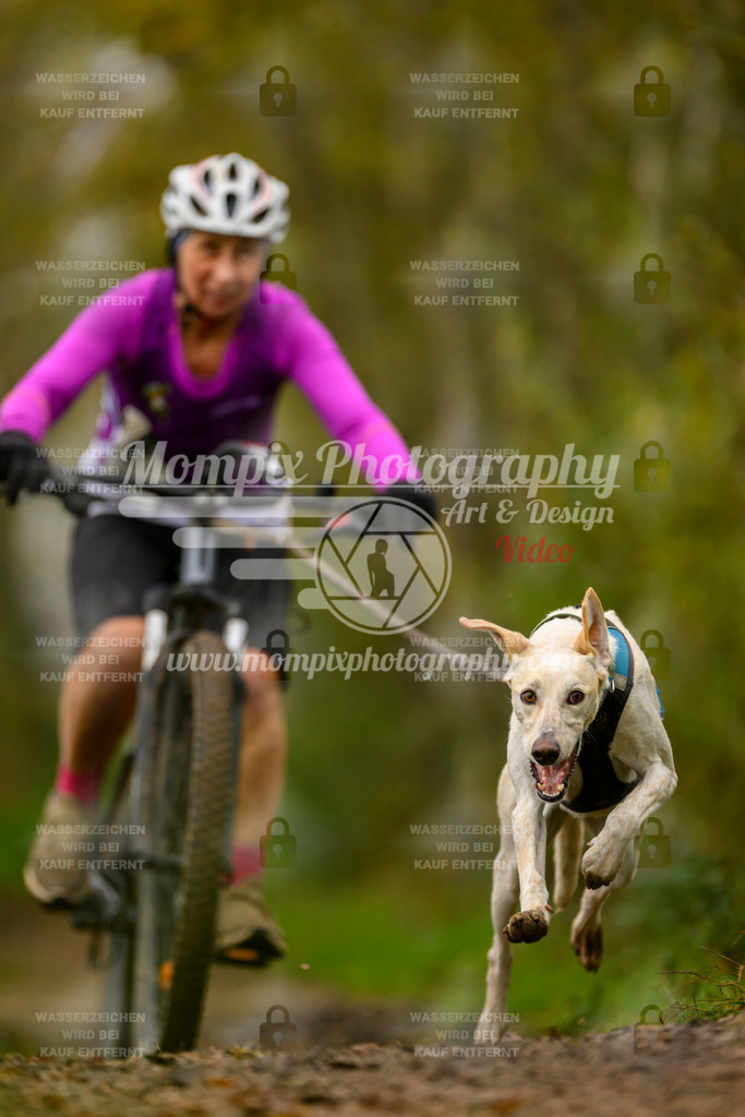 MompixPhotography_20TSB_E6_Bike-109 | PayLife