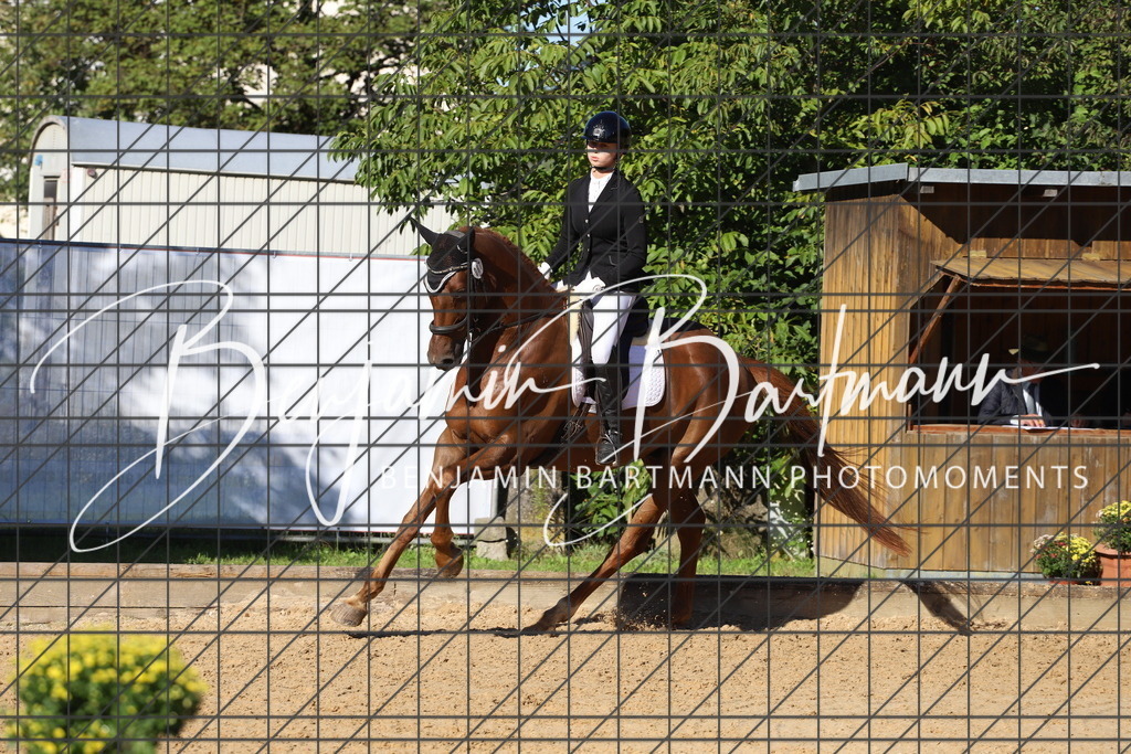 IMG_5143 | Benjamin Bartmann Photomoments