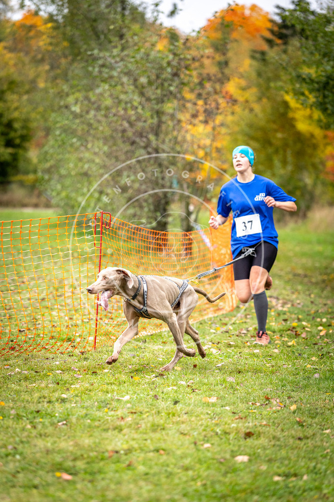 Pfotenfotografie_DV3A2171 | Hundefotografie, Tierfotograf, Pfotenfotografie, Fotoshooting Hund, Hunde Portrait, Hundesport, Hundeportraits, Heideshooting, Hunde, Sportfotograf, Hundefotograf, Turnierhundsport, THS,  - Realisiert mit Pictrs.com
