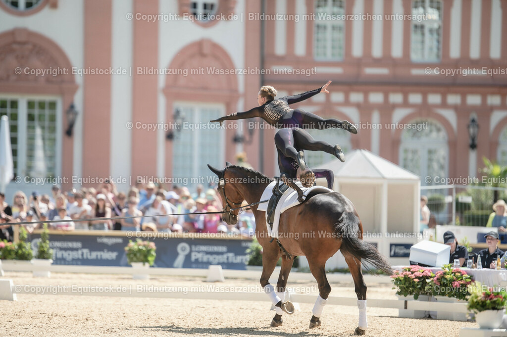 20230528_Voltigieren_NASPA_0246 | equistock