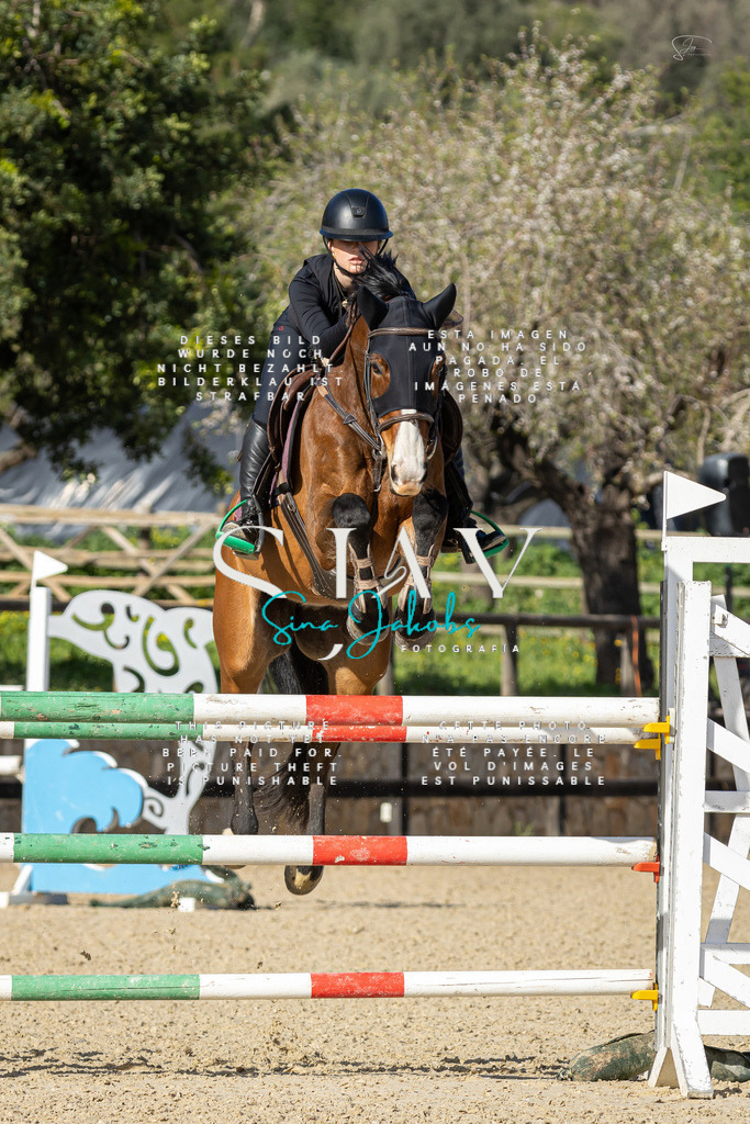 IMG_6894 | s-jay-photography - Realisiert mit Pictrs.com