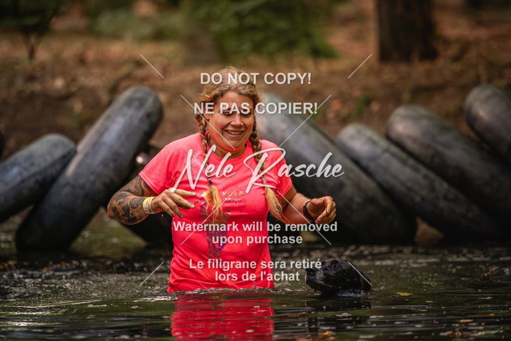 nelerasche_SaWingst0845-1000_57 | nelerasche