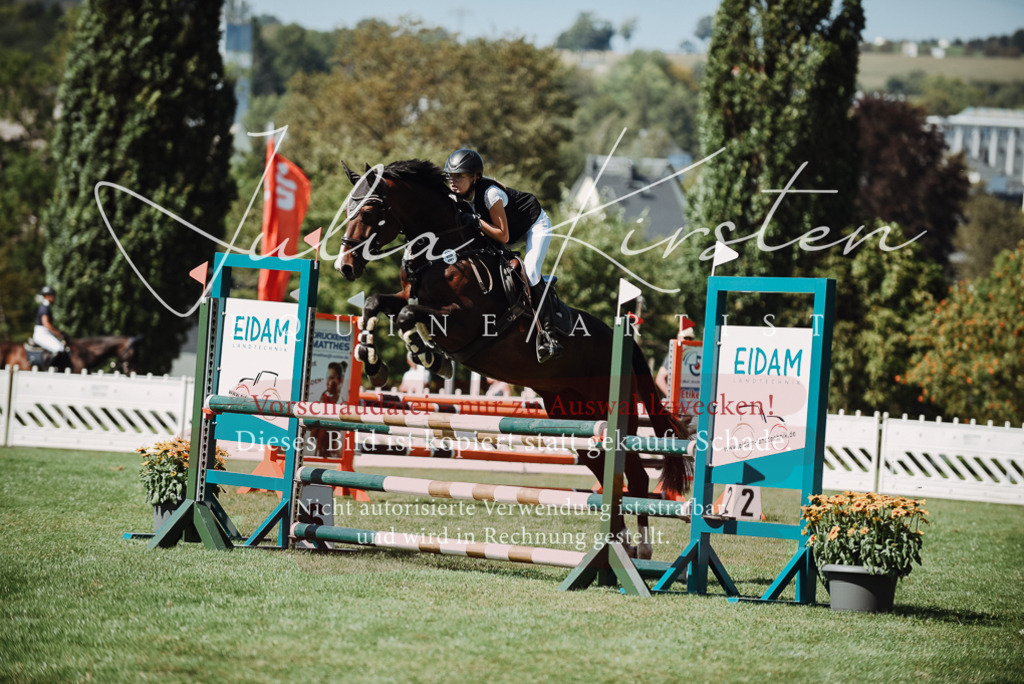 DSC_3166 | Pferde- und Turnierfotografie in Westsachsen. Pferdeportraits, Auftragszeichnungen und intuitive Kunst.