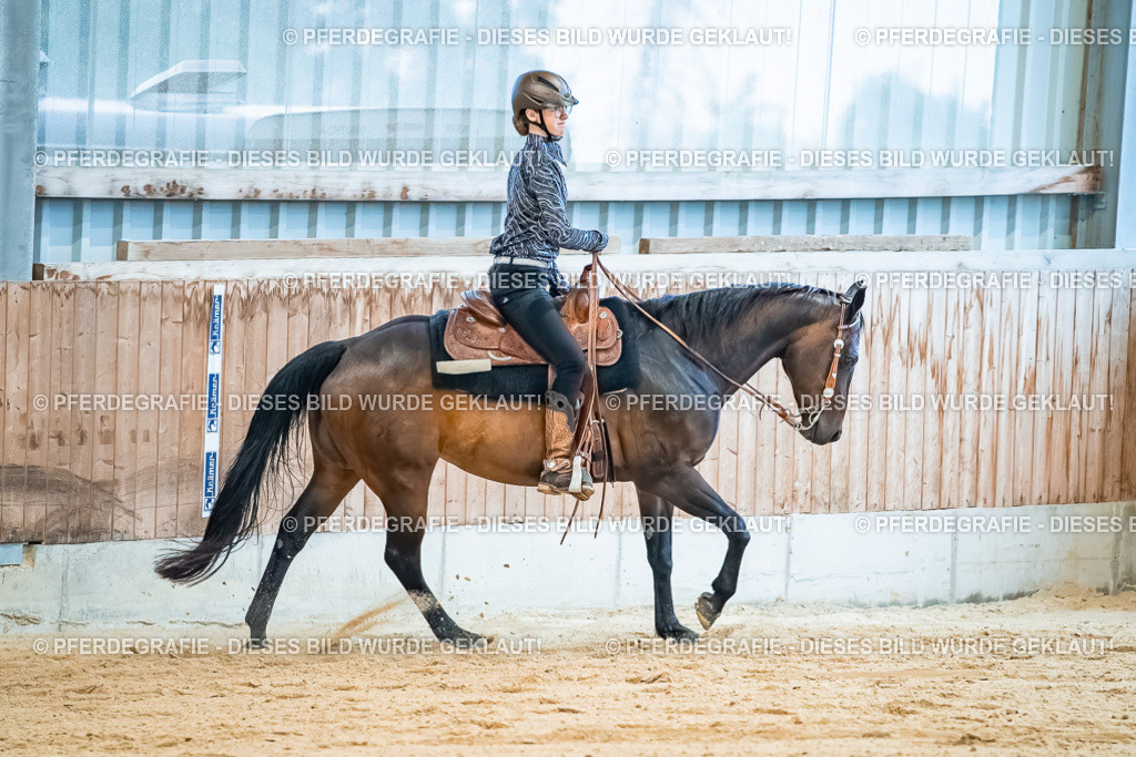 DSC00314 | Pferdegrafie