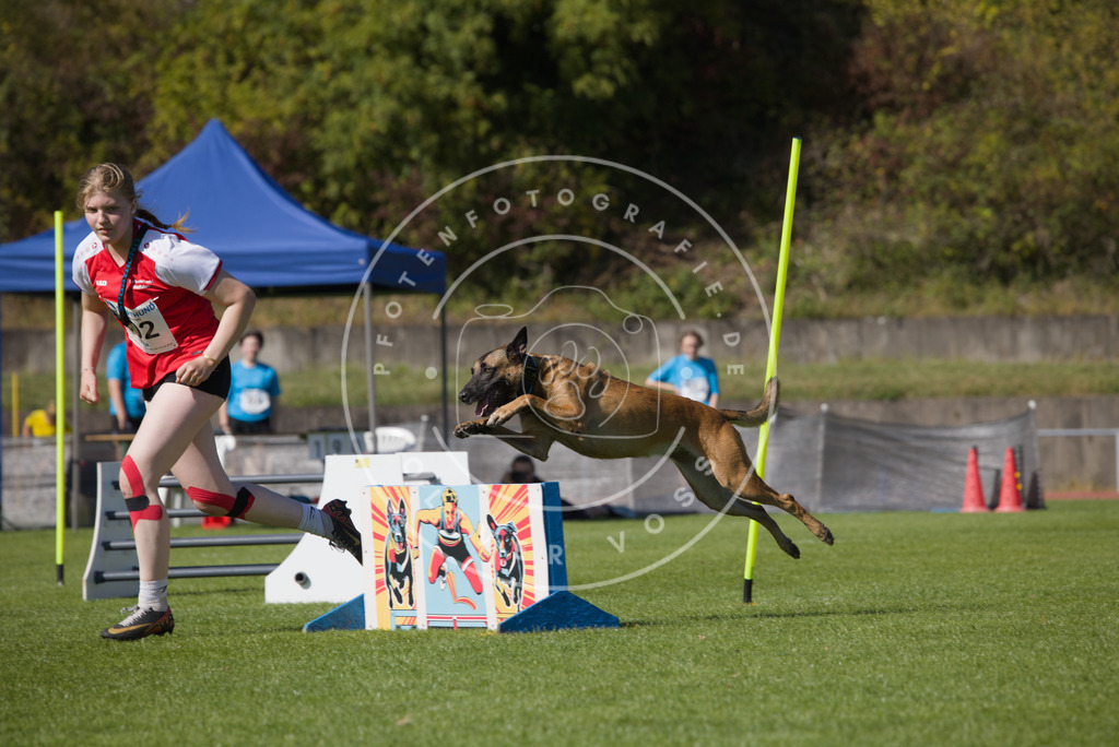 0L8A7566 | Hundefotografie, Tierfotograf, Pfotenfotografie, Fotoshooting Hund, Hunde Portrait, Hundesport, Hundeportraits, Heideshooting, Hunde, Sportfotograf, Hundefotograf, Turnierhundsport, THS,  - Realisiert mit Pictrs.com