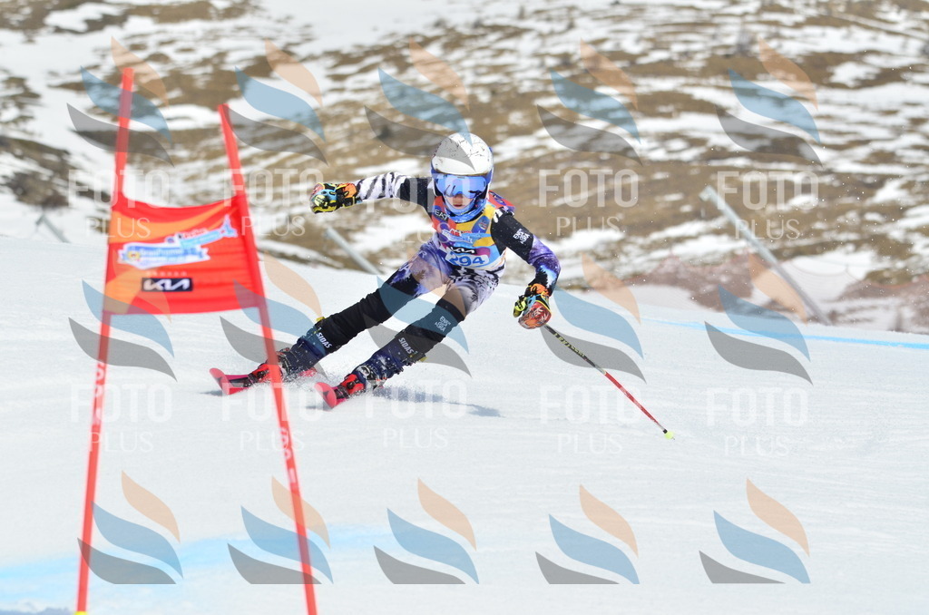 _ELE2103 | holidayphoto